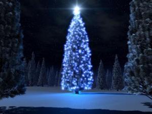 Christmas Wallpaper-047